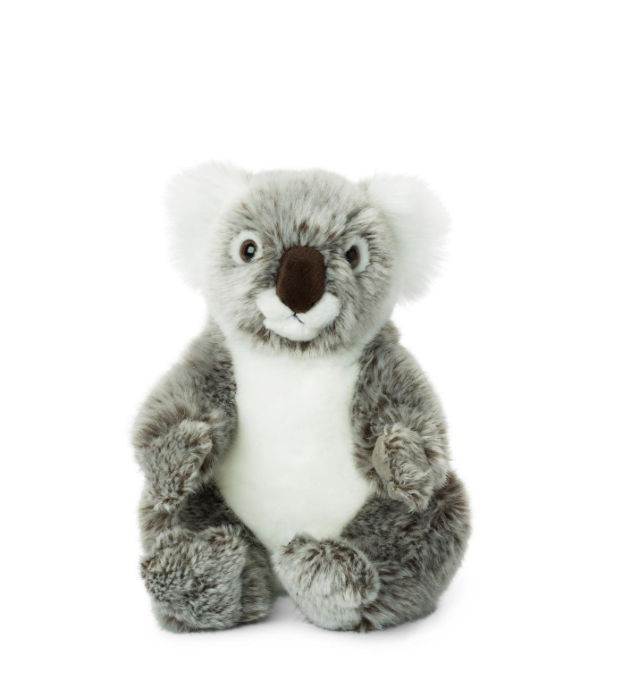 WWF Koala - 22 cm - 8.5