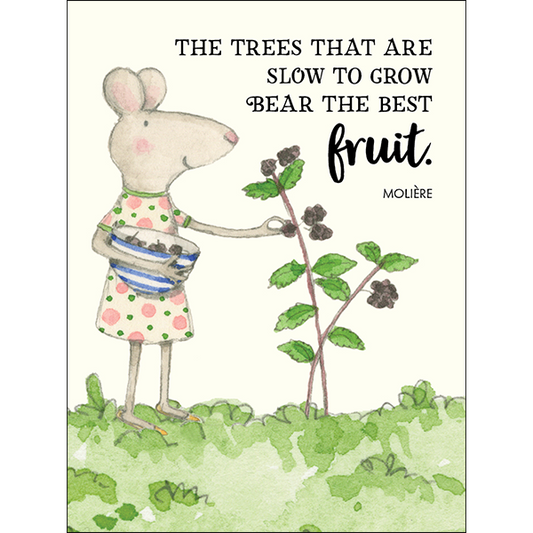 Affirmations -Twigseeds 24 Cards - Seeds of Truth - TLA001