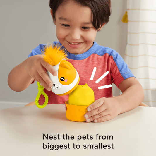 Fisher-Price FP Pets On-The-Go Nesting Pets Stacking Toy For Preschool Kids, 4 Pieces