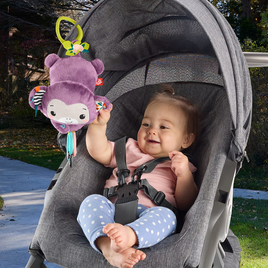 Fisher-Price Baby Juguete para Bebés Changuito Musical