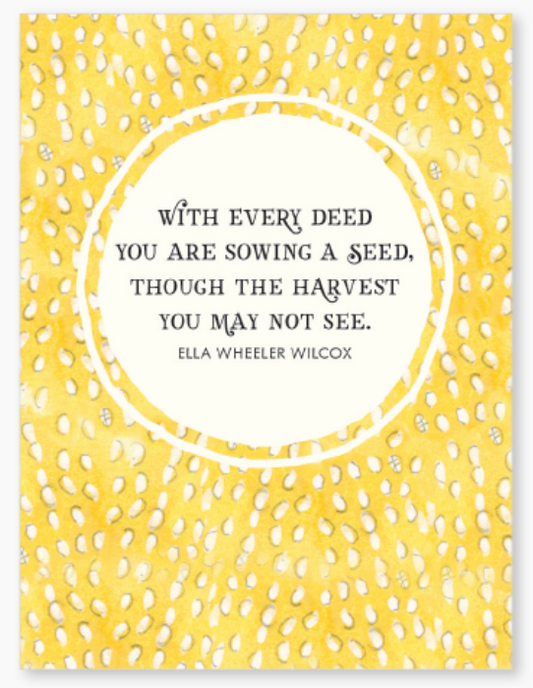 Affirmations -Twigseeds 24 Cards - A Little Box of Sunshine - DSU