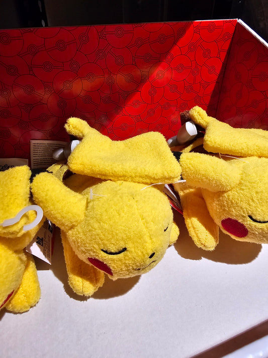 Pokemon 5 Sleeping Plush Pikachu