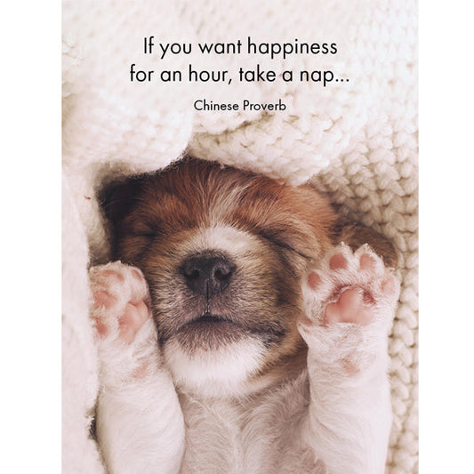 Affirmations - 24 Affirmations Cards - Live Love Bark - DBA