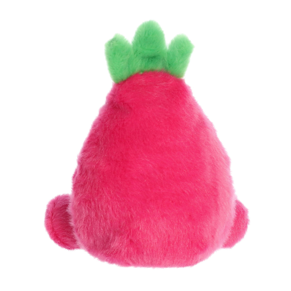Palm Pal Dragonfruit 13cm