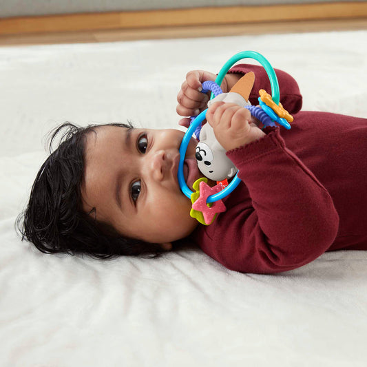 Hochet et Jouet de dentition Sans Bpa Pour Nouveau-Nés de Fisher-Price, Loutre à Tordre et Mordiller